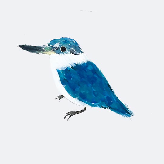 青葉台美術学院　基礎科　小学生作品