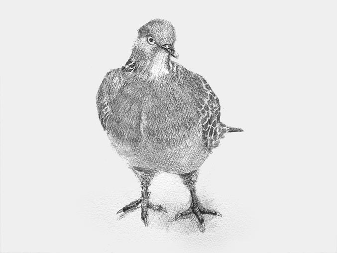 青葉台美術学院　基礎科　小学生作品